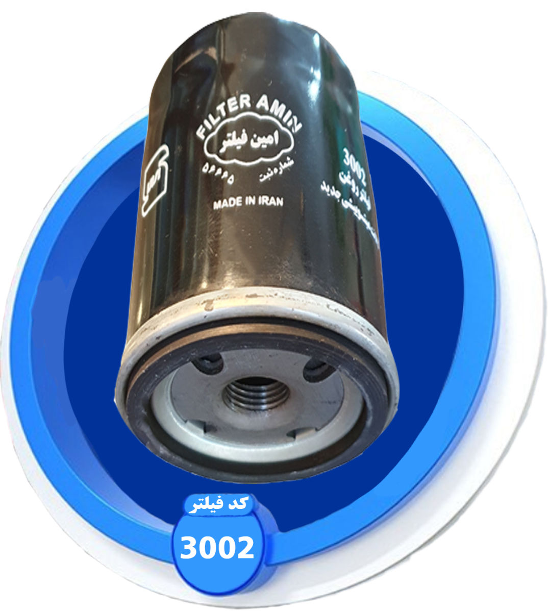 3001
