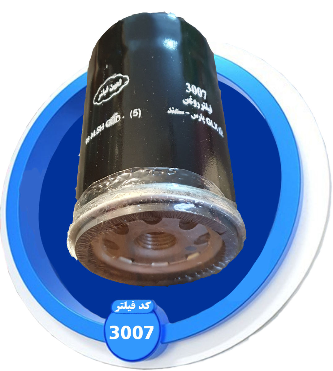3001